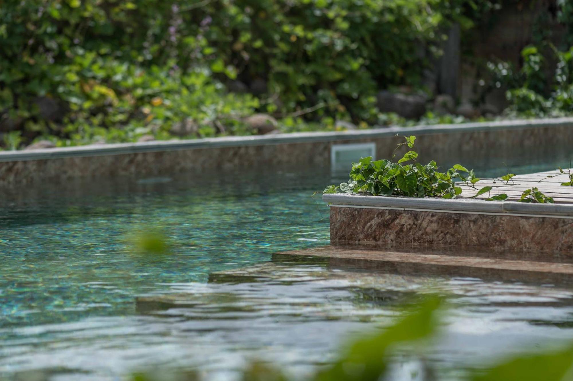 T2 Moderne Avec Piscine Oasis De Nature Et Serenite Petit-Canal Exterior foto